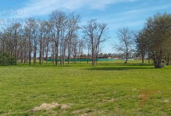 Terrenos en  Comarcas De Luján Santa Inés, Partido De Luján