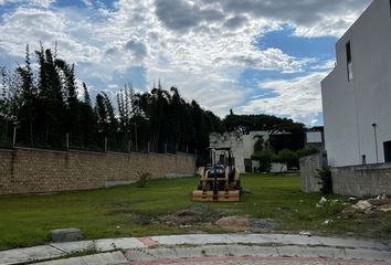 Lote de Terreno en  Calle De La Cumbre, Lomas Del Arenal Campestre, Tuxtla Gutiérrez, Chiapas, 29057, Mex