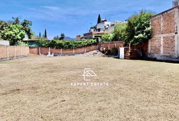 Lote de Terreno en  Avenida San Francisco, San Francisco, La Magdalena Contreras, Ciudad De México, 10500, Mex