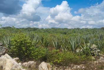 Lote de Terreno en  Calle 19, Tekantó, Yucatán, 97520, Mex