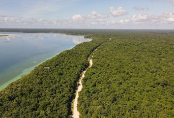 Lote de Terreno en  Avenida 9 39, Gonzalo Guerrero, Bacalar, Quintana Roo, 77934, Mex