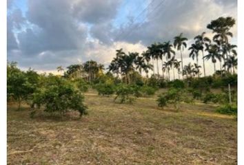 Lote de Terreno en  Cerritos, Pereira