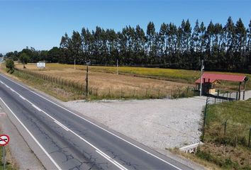 Parcela en  Freire, Cautín