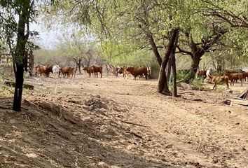 Rancho en  85777, Alamos, Sonora, Mex