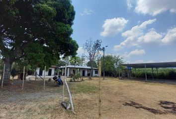 Bodega en  La Zapata, Palmira