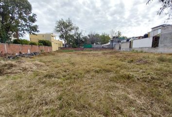 Lote de Terreno en  Calle Cruz Verde 38-46, Los Reyes, Coyoacán, Ciudad De México, 04330, Mex