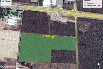 Lote de Terreno en  Carretera Tixkokob - Yaxkukul - Baca, Baca, Yucatán, 97452, Mex