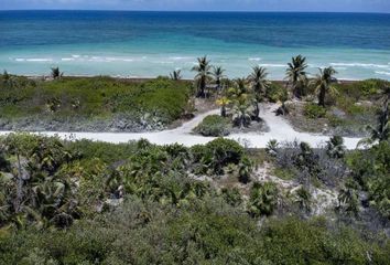 Lote de Terreno en  Carretera Cafetal - Mahahual, Othón P. Blanco, Quintana Roo, 77976, Mex