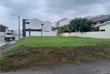 Lote de Terreno en  Alvarado Centro, Alvarado, Veracruz