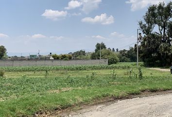 Lote de Terreno en  Vicente Guerrero, Toluca De Lerdo