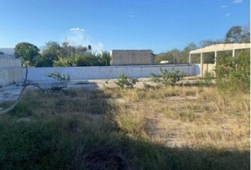 Local comercial en  El Roble Agrícola, Mérida, Yucatán