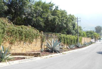 Lote de Terreno en  El Barro, Monterrey