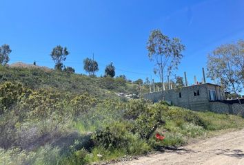 Lote de Terreno en  Calle Del Aguila, Colinas Del Sol, Tijuana, Baja California, 22660, Mex