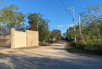 Lote de Terreno en  La Ceiba Minisuper Ciruela, Ceiba, La Ceiba, Mérida, Yucatán, Mex