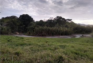 Lote de Terreno en  Viterbo, Caldas