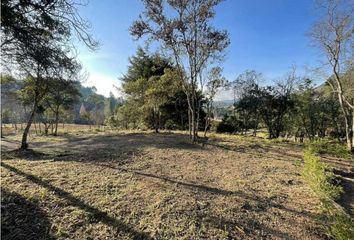 Lote de Terreno en  Guatica, Risaralda