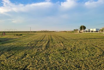 Terrenos en  San Carlos Norte, Santa Fe