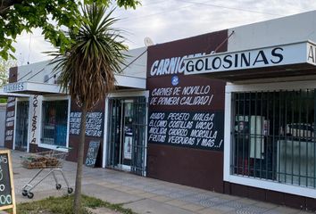 Locales en  Calle Lisandro De La Torre, San Rafael, M5602, Mendoza, Arg