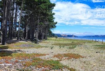 Parcela en  Arauco, Arauco