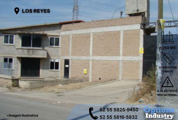 Lote de Terreno en  Avenida Puebla, Magdalena De Los Reyes, Los Reyes Acaquilpan, La Paz, México, 56440, Mex