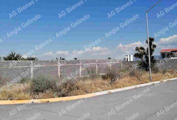 Lote de Terreno en  Calle Chabacano & Tulipán, Portal Del Norte, Nuevo León, México