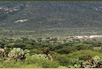 Rancho en  Colón, Querétaro