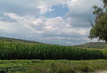 Rancho en  Pedro Escobedo, Querétaro