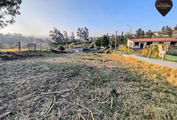 Terreno Comercial en  Valle, Cuenca