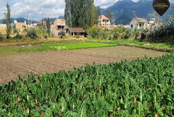 Terreno Comercial en  San Joaquín, Cuenca