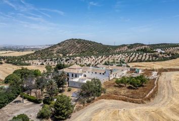 Chalet en  Osuna, Sevilla Provincia