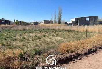 Terrenos en  Confluencia Rural, Neuquén