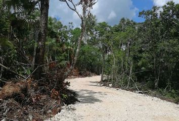 Lote de Terreno en  Tulum, Tulum