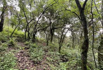 Lote de Terreno en  51207, Valle De Bravo, México, Mex