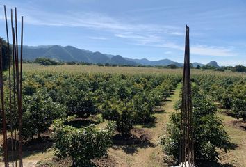 Lote de Terreno en  Malinalco, Estado De México