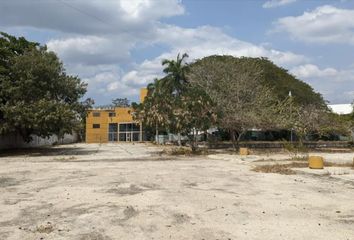 Lote de Terreno en  San Antonio Cinta, Mérida, Yucatán