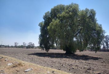 Lote de Terreno en  San Miguel, Zumpango