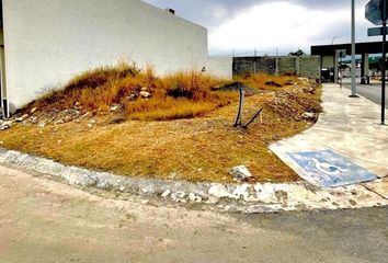 Lote de Terreno en  Paseo Del Canario, Amorada, Santiago, Nuevo León, 67300, Mex