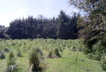 Lote de Terreno en  Villa Victoria, Estado De México