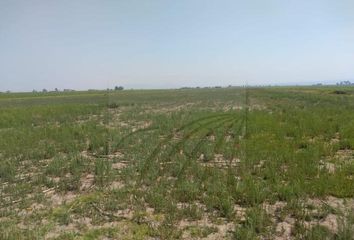 Lote de Terreno en  San Lorenzo Tepaltitlán Centro, Toluca