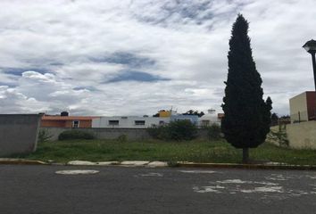 Lote de Terreno en  San Luis Mextepec, Zinacantepec