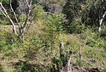 Lote de Terreno en  Malinalco, Estado De México