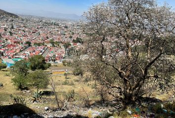 Lote de Terreno en  Zopilocalco Norte, Toluca