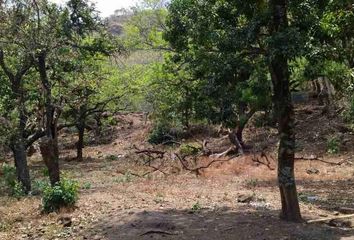 Lote de Terreno en  Malinalco, Estado De México