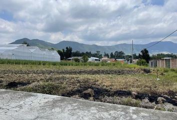 Lote de Terreno en  Tenancingo, Edo. De México, Estado De México