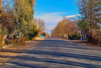 Terrenos en  San Carlos, Mendoza