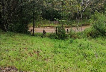 Lote de Terreno en  San Luis, Antioquia