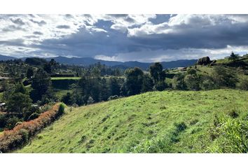 Lote de Terreno en  El Retiro, Antioquia