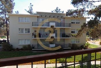 Departamento en  Algarrobo, San Antonio