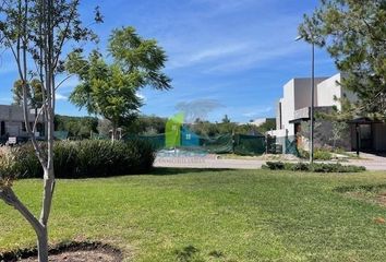 Lote de Terreno en  Altozano, Santiago De Querétaro, Querétaro, Mex