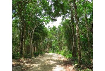 Lote de Terreno en  Playa Del Carmen, Quintana Roo